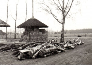 F5801 Brandhout bij boerderij Het Stroo, 1964